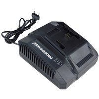 Зарядное устройство Profipower LI-18G A1162 (20В)