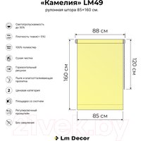 Рулонные шторы Lm Decor LM 49-01 34x160