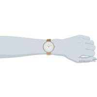 Наручные часы Skagen SKW2137 в Пинске