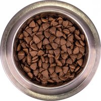 Сухой корм для собак Monge Speciality Line Monoprotein Adult с лососем и рисом 12 кг