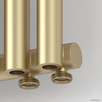 Стальной трубчатый радиатор Сунержа Эстет-0 EU50 правый 500х225 5 секций (матовая шампань)