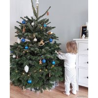 Ель HD Nordic Trees Nordmann Датская Премиум (1.2-1.5 м, срезанная)