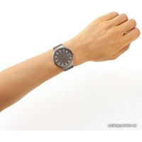 Наручные часы Skagen SKW6387