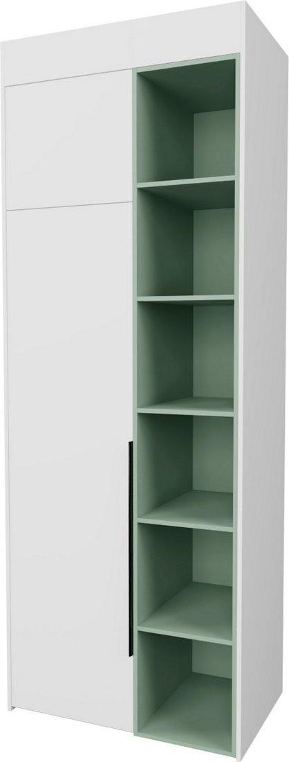 

Шкаф распашной Рэйгрупп Рэй S262-B2-EBZ В2 (дуб элисон/белый премиум/зеленый самшит)