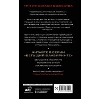 Книга издательства АСТ. Три ипостаси Божества 9785171630959 (Дэшнер Д.) в Лиде