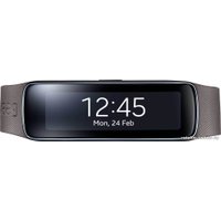 Фитнес-браслет Samsung Gear Fit (SM-R350)