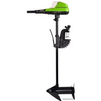 Лодочный мотор Greenworks G40TM55 (без АКБ и ЗУ)