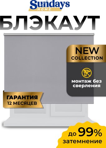 Рулонные шторы Sundays Home LM 168-07 100x160 (серый)