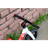 Беговел Lenjoy Sports S1000-12