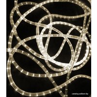 Дюралайт Rich Led 3-проводной RL-DL-3W-100-240-WW 13мм (теплый белый)