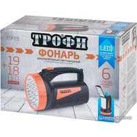 Фонарь Трофи TSP19