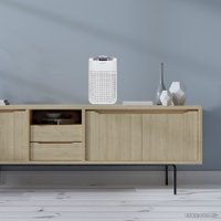 Осушитель воздуха Remezair RMD-304 (белый)