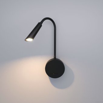 Подсветка для картин Elektrostandard 40120/LED Stem 3000К (черный)