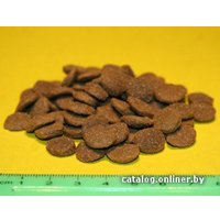 Сухой корм для собак Acana Adult Small Breed (для взрослых собак мелких пород) 0.34 кг