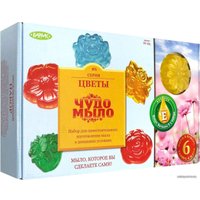 Набор для изготовления мыла Каррас Чудо-Мыло. Цветы 165