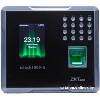 Биометрический терминал ZKTeco iclock1000-G