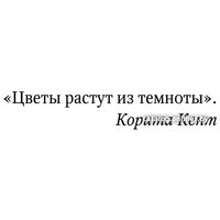 Книга издательства АСТ. Возрождение полевых цветов 9785171522223 (Смелтцер М.)