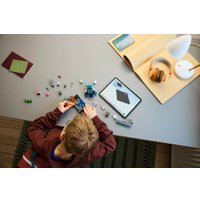 Конструктор LEGO Minecraft Встреча с надзирателем 21274