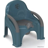 Детский горшок Amarobaby Baby chair AB221105BCh/18 (бирюзовый)