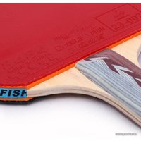 Набор для настольного тенниса Double Fish 5D-C