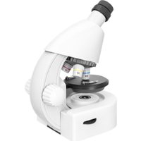 Микроскоп Levenhuk Discovery Micro Polar с книгой 77952