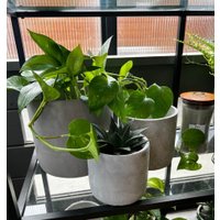 Кашпо Polnix 05.148.14