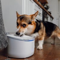 Поилка Petoneer Fresco Ultra 179669