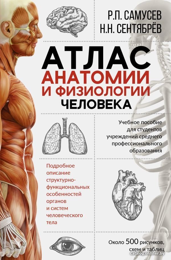 Учебное пособие издательства АСТ. Атлас анатомии и физиологии человека. Учебное пособие для студентов учреждений среднего профессионального образования