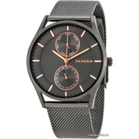 Наручные часы Skagen SKW6180