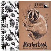 Альбом для рисования Феникс+ Лори 54041