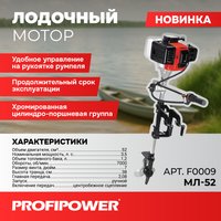 Лодочный мотор Profipower МЛ-52 F0009