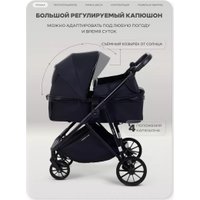Универсальная коляска Rant Basic Ventura RA165 (black)