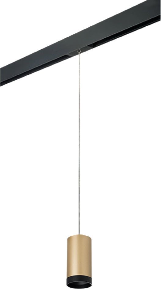 

Трековый светильник Lightstar Rullo PRORP440437