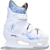 Коньки Tempish VISION (р. 43)