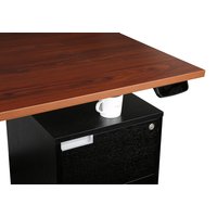 Стол для работы стоя ErgoSmart Ergo Desk Prime 1380x800x18 мм (альпийский белый/черный)