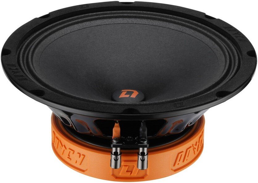 

Среднечастотная АС DL Audio Raven 200