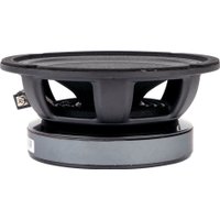 Среднечастотная АС Aura Monstro-65