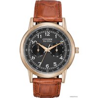 Наручные часы Citizen AO9003-08E