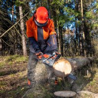 Бензопила Daewoo Power DACS 5218XT