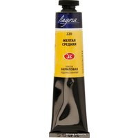 Акриловая краска Ладога 2204220 (46 мл, желтый средний)