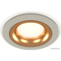 Точечный светильник Ambrella light XC7623005 SGR/PYG