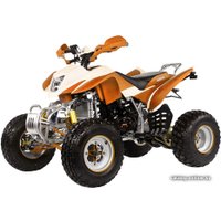 Квадроцикл IRBIS ATV 250S