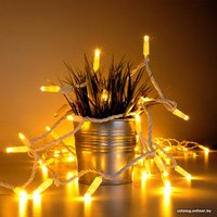 Новогодняя гирлянда Евросвет 400-102 20 м a044077 (теплый белый)