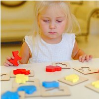 Сортер Alatoys Кто и Что? СОР29