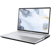 Игровой ноутбук Colorful Evol X16 Pro A10207000007