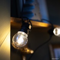 Светодиодная гирлянда Retlux RGL 115