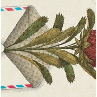 Книга издательства Попурри. Идеальный момент (Изерн С., Сома М.) в Бобруйске