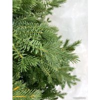 Ель GreenTerra Монсанта 1.8 м