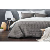 Покрывало Pasionaria Софт 160x220 с наволочками (серый)