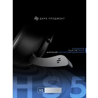 Наушники Дарк Проджект HS5 V2 (черный)